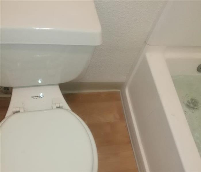 toilet and tub with wall between repaired and repainted